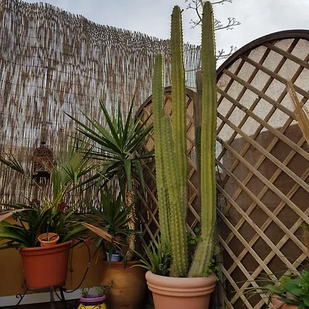 Casa de Férias La Casa Azul