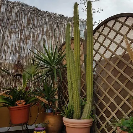 Сasa de vacaciones La Casa Azul